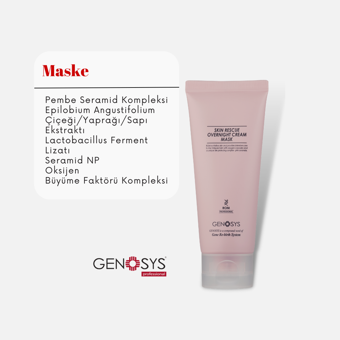 Skin Rescue Overnight Cream Mask